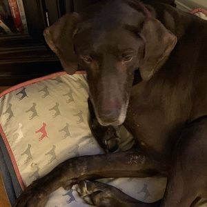 Meet your Posher, Deb